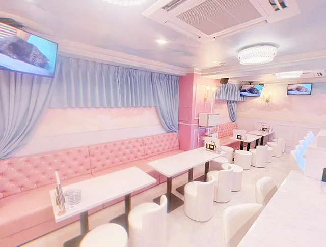 Cafe & Bar てぃあ×らぴ Tiara × Utopiaの店内写真 2
